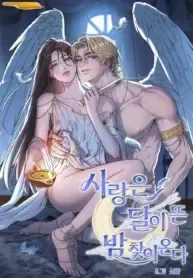 El amor llega en una noche iluminada